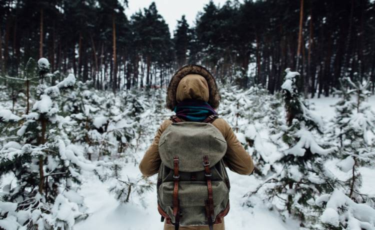 Jak wzmocnić odporność zimą? Sprawdź nasze sposoby!