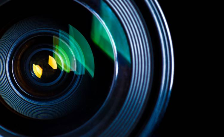 Ktoś zabrał fotopułapkę. Rejestrator wciąż działa - zdjęcia wysyła do urzędników