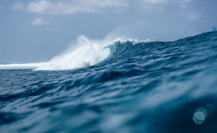 W obrębie tysięcy kilometrów nie ma żywej duszy. Czym jest Punkt Nemo?