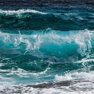 "Potwór” z głębi pływa po oceanach. Ma przezroczyste ciało. To koniecznie trzeba zobaczyć! [WIDEO]