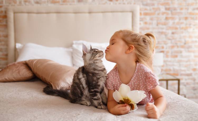 Dzielny kot imieniem Thor ocalił 4-osobową rodzinę. Groziło im zatrucie czadem