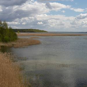 Skuter wodny wpadł między plażowiczów. "Jego 24-letni sternik wcześniej z niego wypadł"