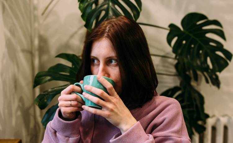 Zhuravleva Katia/Shutterstock