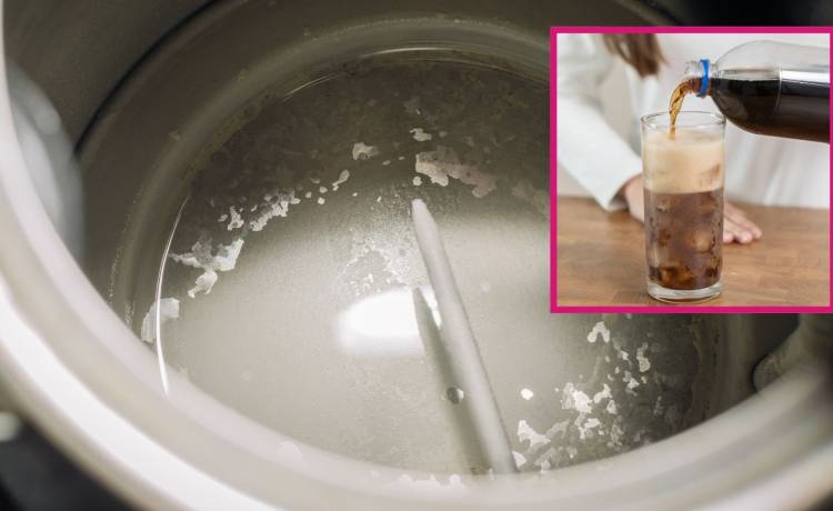 fot. shutterstock.com