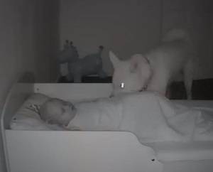 Pies co wieczór składa wizytę w pokoju dziecka. Wzruszający film trafił do sieci [WIDEO]