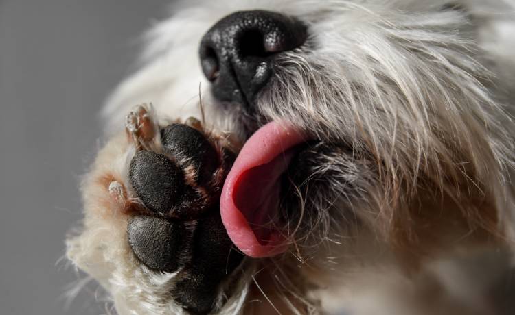 fot. shutterstock.com 