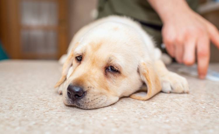 fot. shutterstock.com