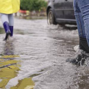 Stanął w korku. Wyszedł z samochodu i...złapał gołymi rękami rybę!