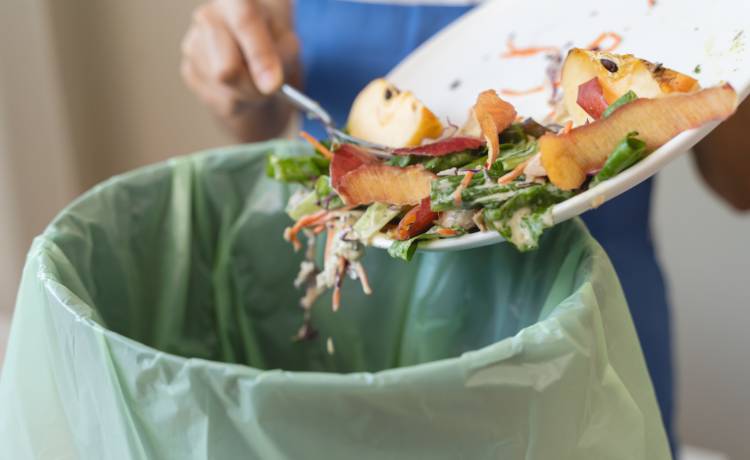 fot. shutterstock.com