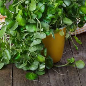 Naukowcy mówią, że to najzdrowsze warzywo na świecie