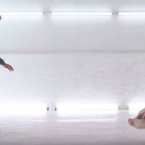 Restauracja, w której musisz zabić zwierzę, by zjeść mięso: "Chciałem zmusić ludzi do refleksji"