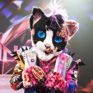 Kto ukrywa się pod maską Kota? Widzowie "Mask Singer" nie mają wątpliwości!