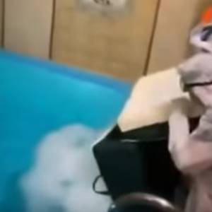 Nieprzemyślane urodziny rosyjskiej blogerki. Nie żyją trzy osoby