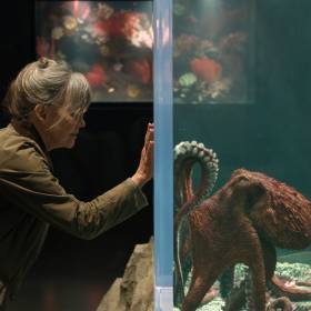 Pokochały ją miliony czytelników. Wielki hit z list bestsellerów trafi na Netflix już w maju