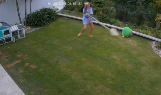 Świnka morska zaatakowana przez węża. 12-latka złapała gada za ogon [WIDEO]