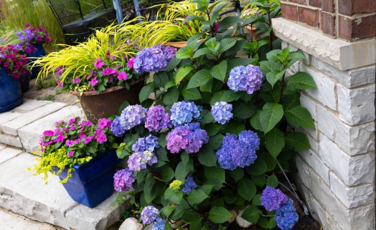 Fot. Shutterstock/Molly Shannon