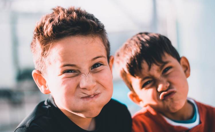 fot. materiały prasowe