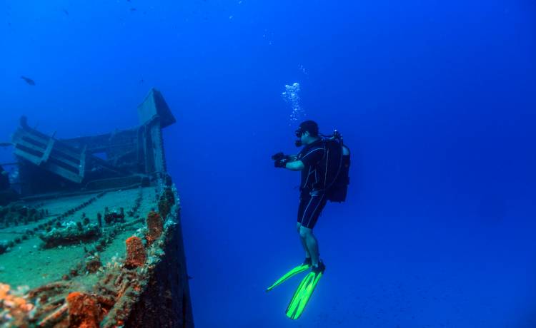 Rekin-widomo odnaleziony. Badacze przecierają oczy ze zdumienia