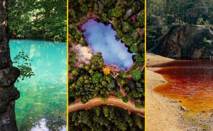 fot. Shutterstock/matic.pl/Krzysztof Basel/tomasz karwowski