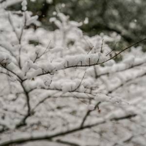 Zima powróci w najbliższych dniach? Trzeba przygotować się na jedno