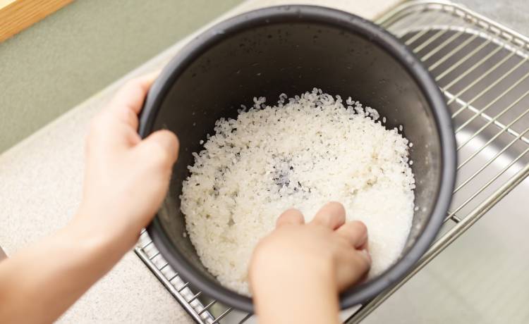 fot. shutterstock.com