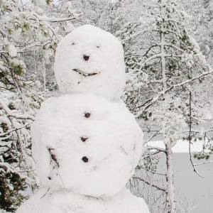 Bałwan kontra policja. Nietypowa interwencja mundurowych.... [WIDEO]