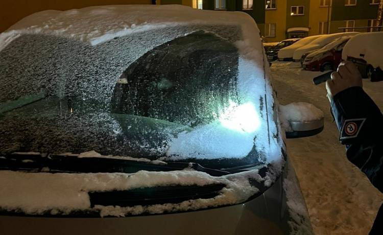 Zostawił psa w aucie w trakcie mrozu. Zwierzę było zamknięte przez kilka godzin