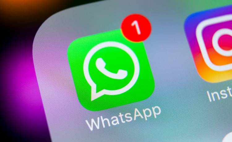 zdjęcie ilustracyjne, fot. Shutterstock/BigTunaOnline