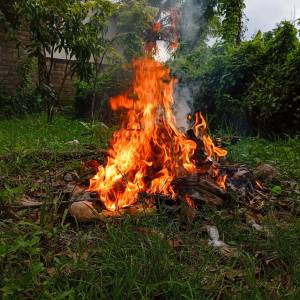 Zasady palenia gałęzi i liści na działce. Nieprzestrzeganie ich może oznaczać mandat!