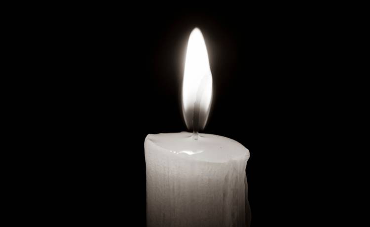 Melnikov Dmitriy/Shutterstock