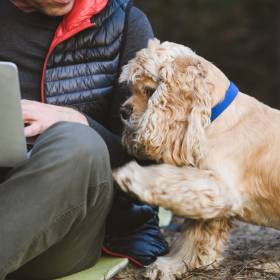 Dlatego pies szturcha cię łapą. Specjalistka wyjaśnia, co to oznacza