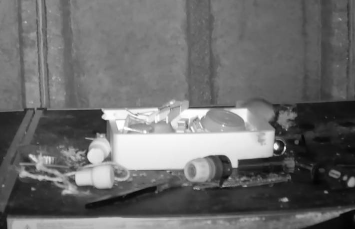 Rzeczy z jego garażu znikały. Ukryta kamera pokazała, kto za tym stał... [WIDEO]