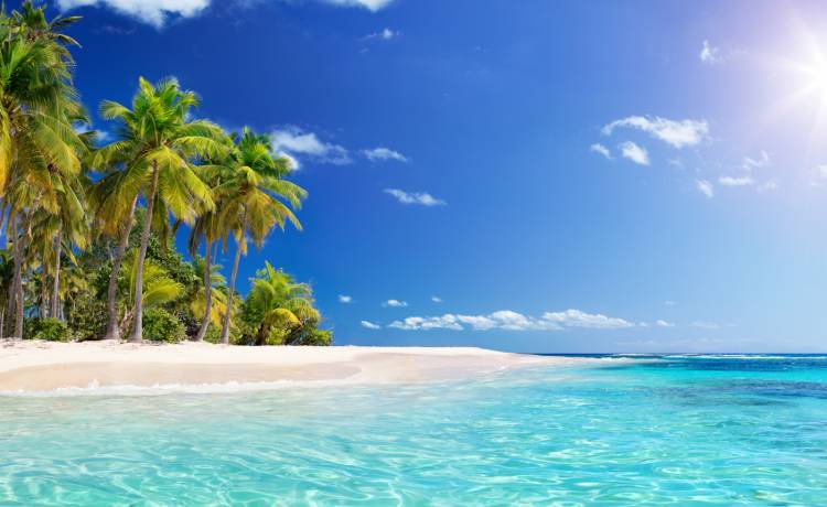 Tak wygląda najmniejszy park świata!