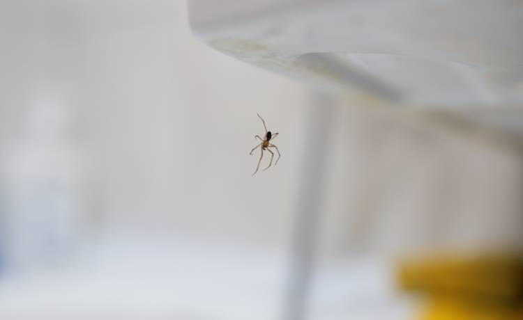 fot. shutterstock.com