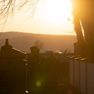 Domowe specyfiki lepsze niż sklepowa chemia? Skuteczne sposoby na czyszczenie nagrobków