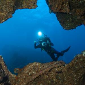 Do tej pory znaleziono jedynie dwa okazy. Naukowcy uchwycili tajemnicze zwierzę [FOTO]