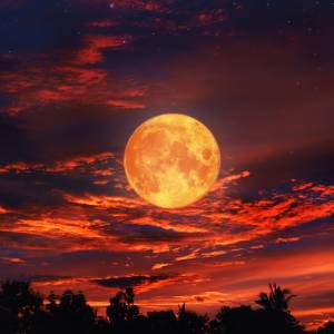 Krwawy Księżyc już wkrótce. Czy zobaczymy czerwonego satelitę? 