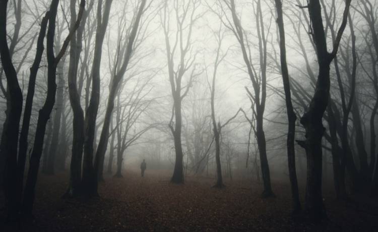 Halloween i dziady. Co to zazwyczaje? Jaka jest ich historia? Czym się różnią?