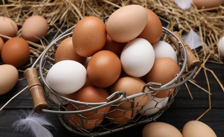 fot. New Africa/Shutterstock