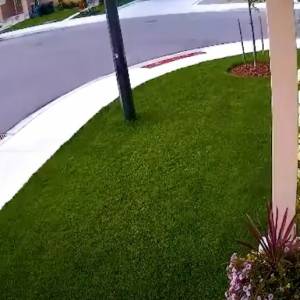 Zwierzęta ratują ludzi w niebezpiecznych sytuacjach. Czworonożni superbohaterowie w akcji! [WIDEO]