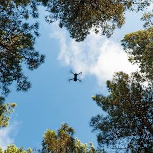 Strażnicy chcą nagrodzić obywatela, który chciał przemycić kilkadziesiąt tysięcy papierosów dronem. Ich zaproszenie robi furorę w sieci! [FOTO]