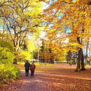 Prognoza na niedzielę wyborczą. Jaka będzie pogoda?                                                        