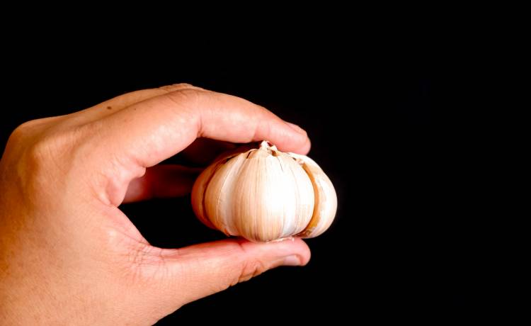 fot. shutterstock.com