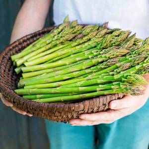 To popularne warzywo nie jest dla każdego. Dowiedz się, dlaczego 