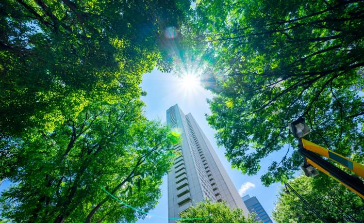 Powstanie miasto o zerowej emisji dwutlenku węgla. Arabski książę zapowiedział rewolucję