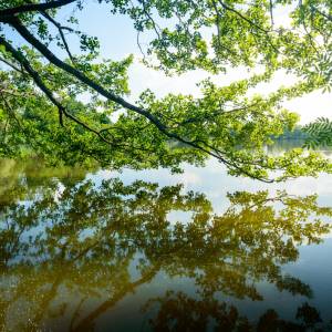 Skażenie w Dolinie Baryczy. Sytuacja rzeki jest dramatyczna