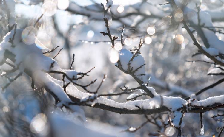 fot. Anna_Zaitzeva/Shutterstock