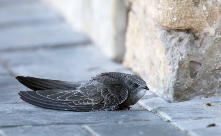 fot. shutterstock.com