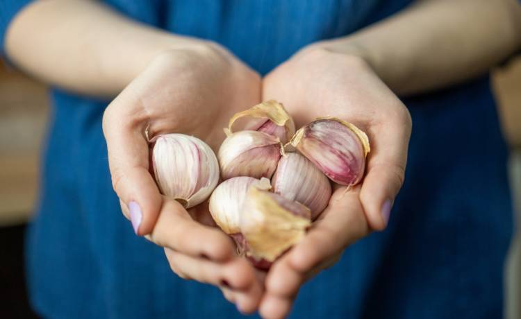 fot. shutterstock.com