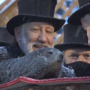 Dzień Świstaka 2021. Phil zobaczył swój cień! Co to oznacza? Czy prognoza się sprawdzi?